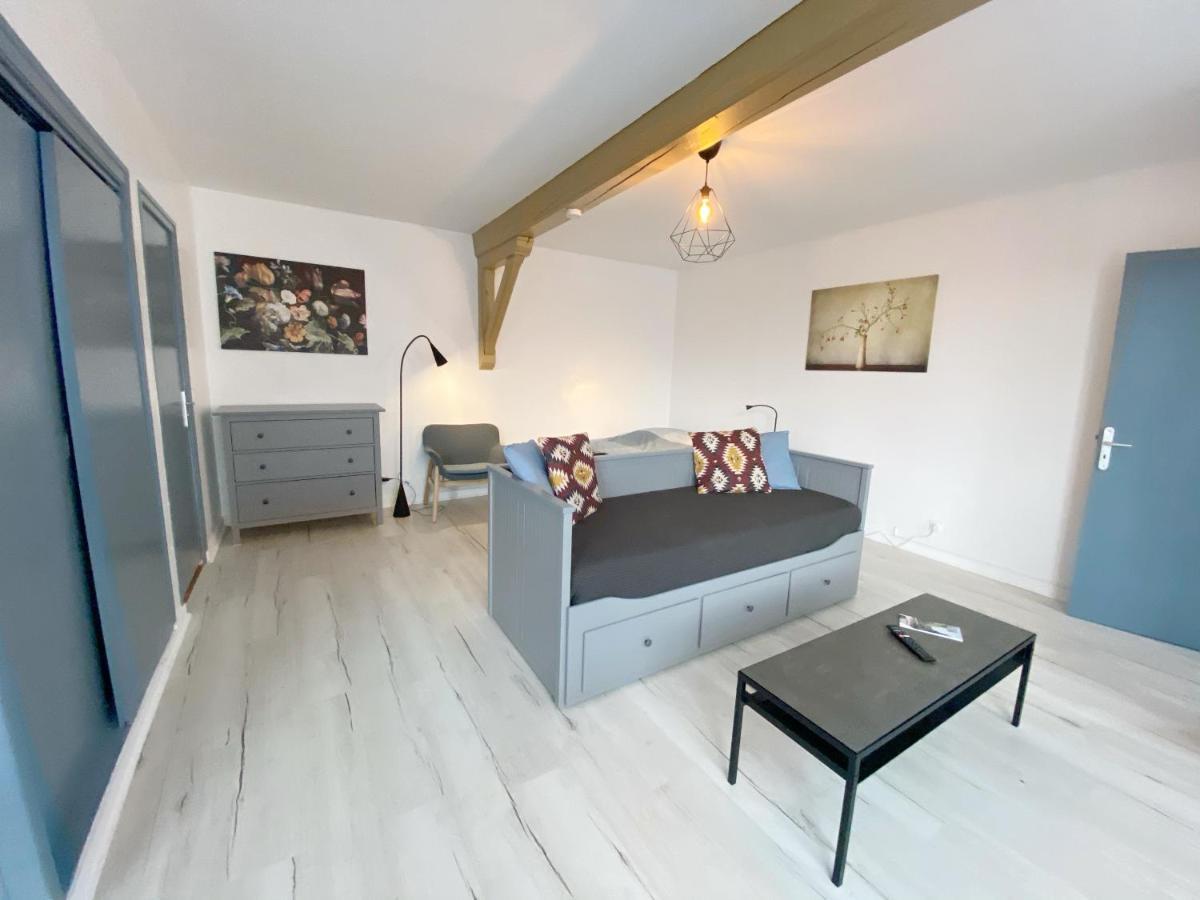 015 Chic & Cosy Studio 41M2 Hypercentre Wifi Smart Tv Netflix Saint-Etienne  Buitenkant foto