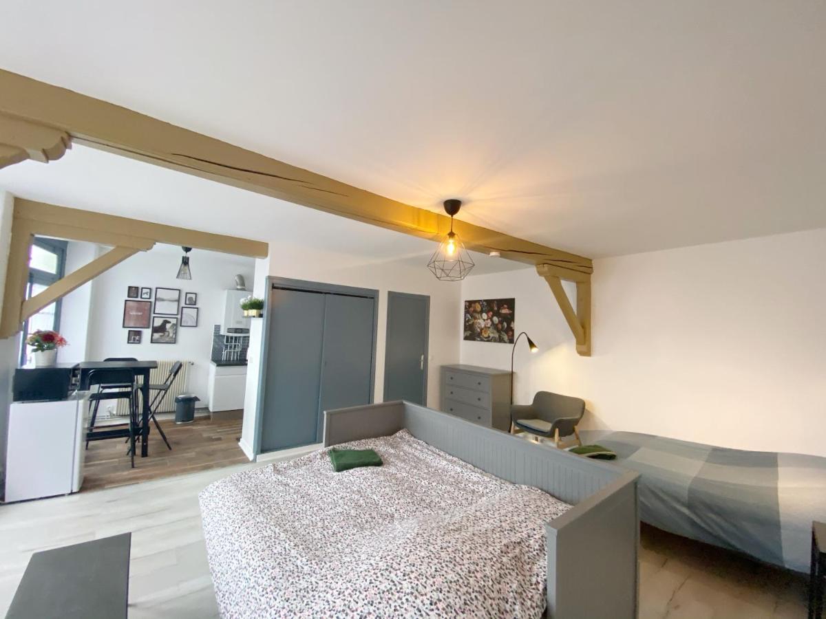 015 Chic & Cosy Studio 41M2 Hypercentre Wifi Smart Tv Netflix Saint-Etienne  Buitenkant foto