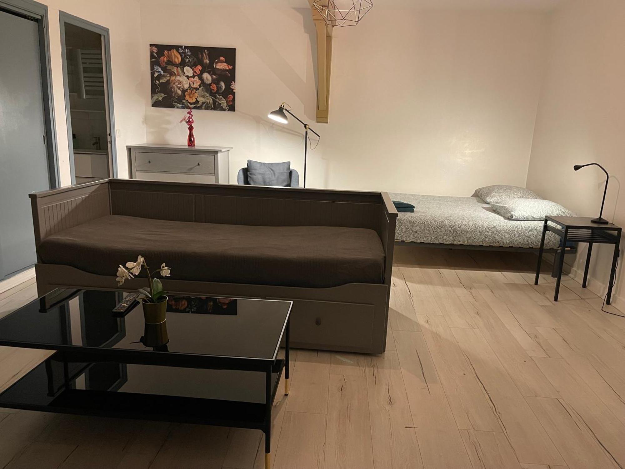 015 Chic & Cosy Studio 41M2 Hypercentre Wifi Smart Tv Netflix Saint-Etienne  Buitenkant foto